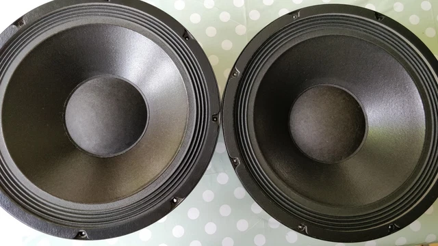 Paire De Woofers Wigo 24 Cm - Modèle PMT 245/37/105 - Hauts-Parleurs Hifi